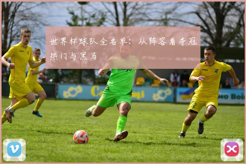 世界杯球队全名单:从阵容看夺冠热门与黑马