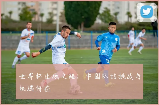 世界杯出线之路:中国队的挑战与机遇何在