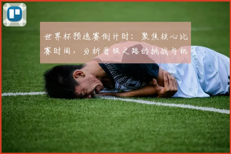 世界杯预选赛倒计时:聚焦核心比赛时间,分析晋级之路的挑战与机遇