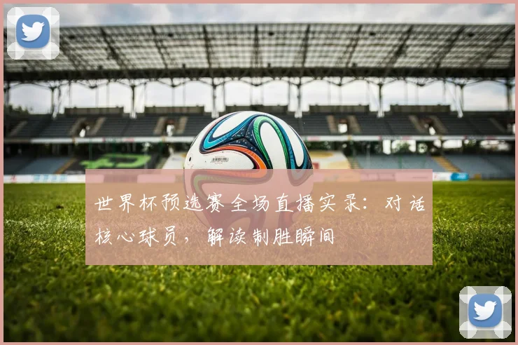 世界杯预选赛全场直播实录:对话核心球员,解读制胜瞬间