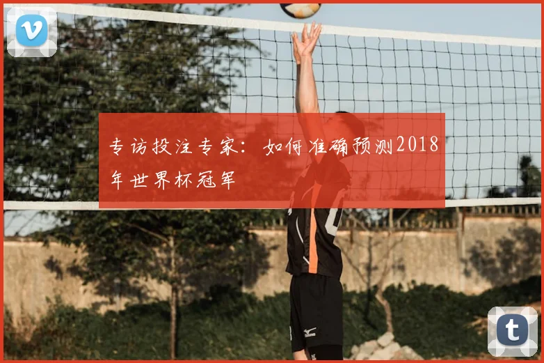 专访投注专家：如何准确预测2018年世界杯冠军