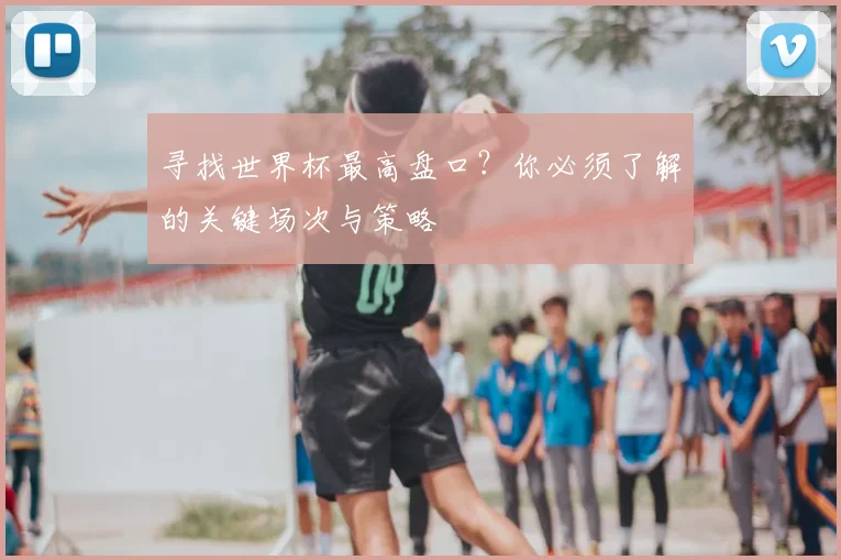 寻找世界杯最高盘口？你必须了解的关键场次与策略