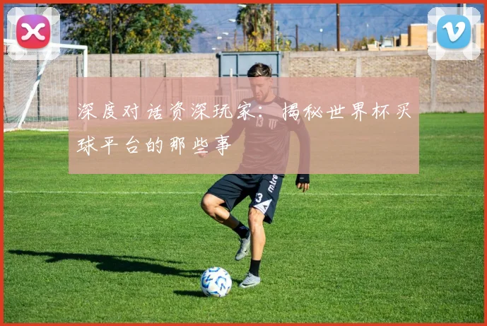 深度对话资深玩家：揭秘世界杯买球平台的那些事