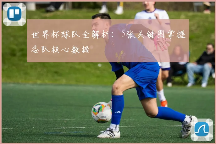 世界杯球队全解析:5张关键图掌握各队核心数据