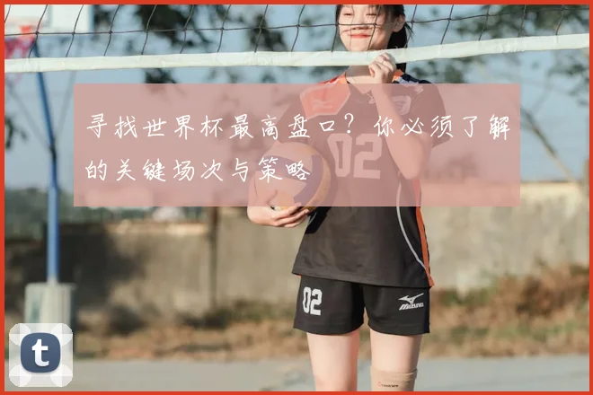 寻找世界杯最高盘口？你必须了解的关键场次与策略