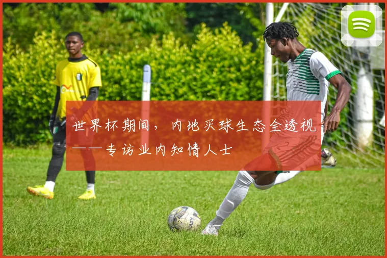 世界杯期间，内地买球生态全透视——专访业内知情人士