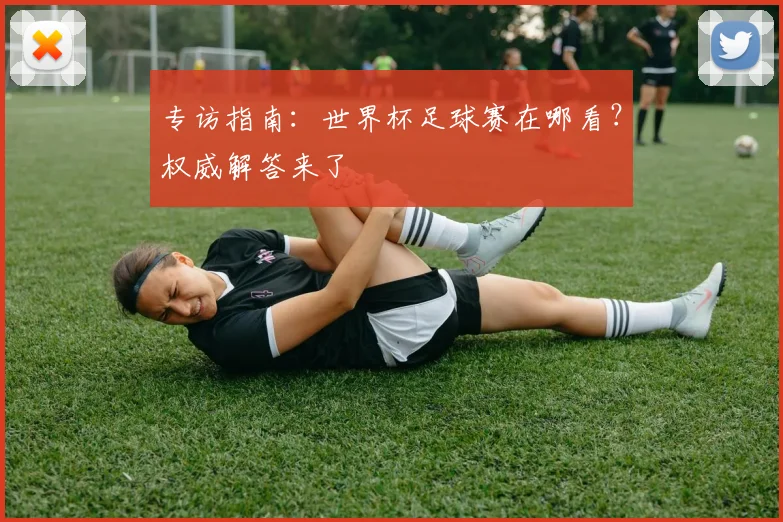 专访指南：世界杯足球赛在哪看？权威解答来了