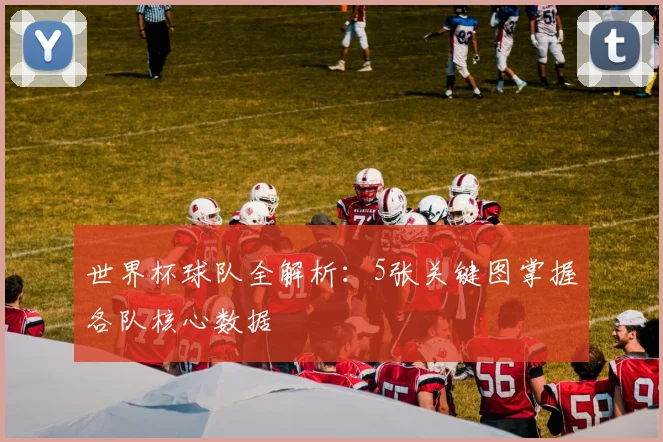 世界杯球队全解析:5张关键图掌握各队核心数据